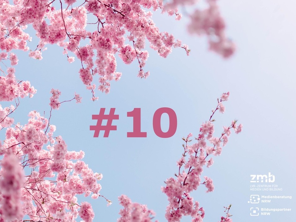 Untersicht auf einen in Rosatönen blühenden Kirschbaum. Im selben Farbton Schriftzug "#10", als Anspielung auf die 10. Newsletterausgabe. Bild: ValeriaLu | Pixabay