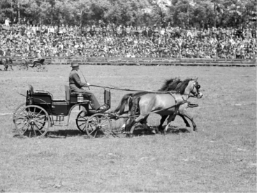 Eine Kutsche wird von zwei Ponys gezogen. Eine Kutsche wird von zwei Ponys gezogen.